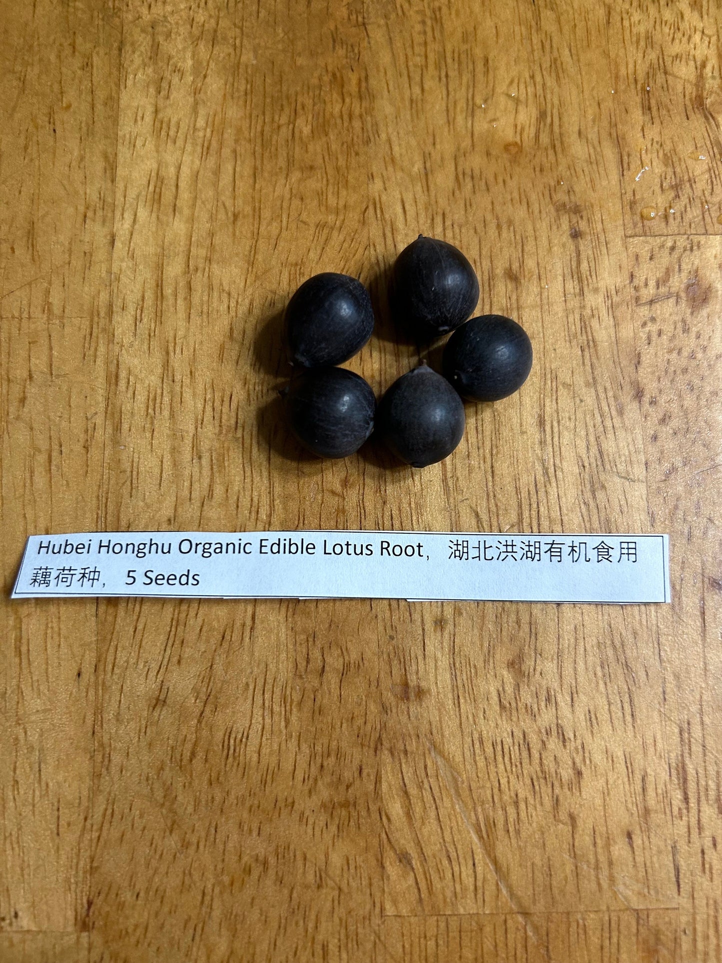 Hubei Honghu Organic Edible Lotus Seeds - 湖北洪湖有机食用藕荷种,5 Seeds per Order | Free Shipping | A Great Idea to Witness Germination Personall
