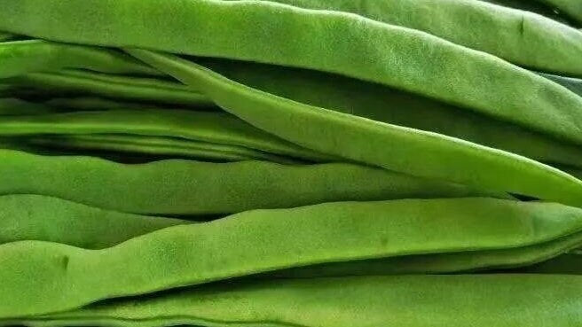 Flat beans/三扁芸豆 - medium-length, flat, non-puffy beans/夹长,夹扁,不鼓豆-12 seeds per pack