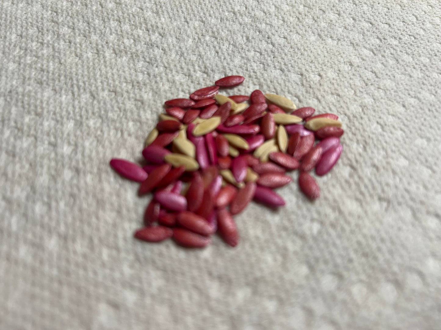 Jinyan Four Cucumber Seeds - 津研四号黄瓜种子-40 Seeds per Pack - Early Maturity, Main Vine Bearing Fruits, Few Lateral Vines