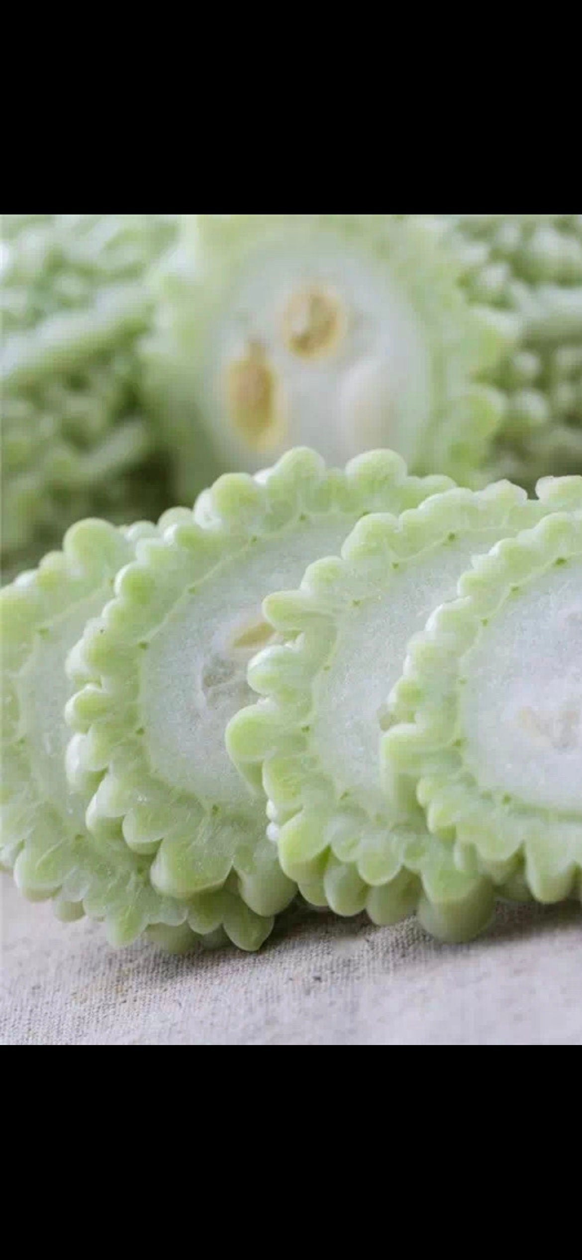 Thick Flesh Long White Bitter Gourd Seeds - 厚肉长白苦瓜种子-10 Seeds per Order-High-Yield Variety with Strong Disease Resistance