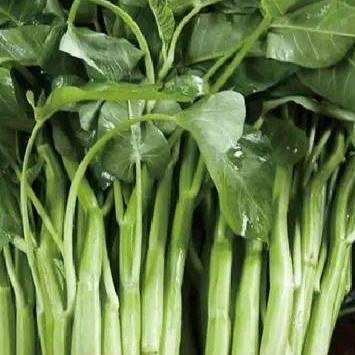 White Stem Water Spinach Seeds – 白杆大叶空心菜种子 – Tender Stems | Heat-Tolerant | 40 Seeds | No Shipping to Restricted States