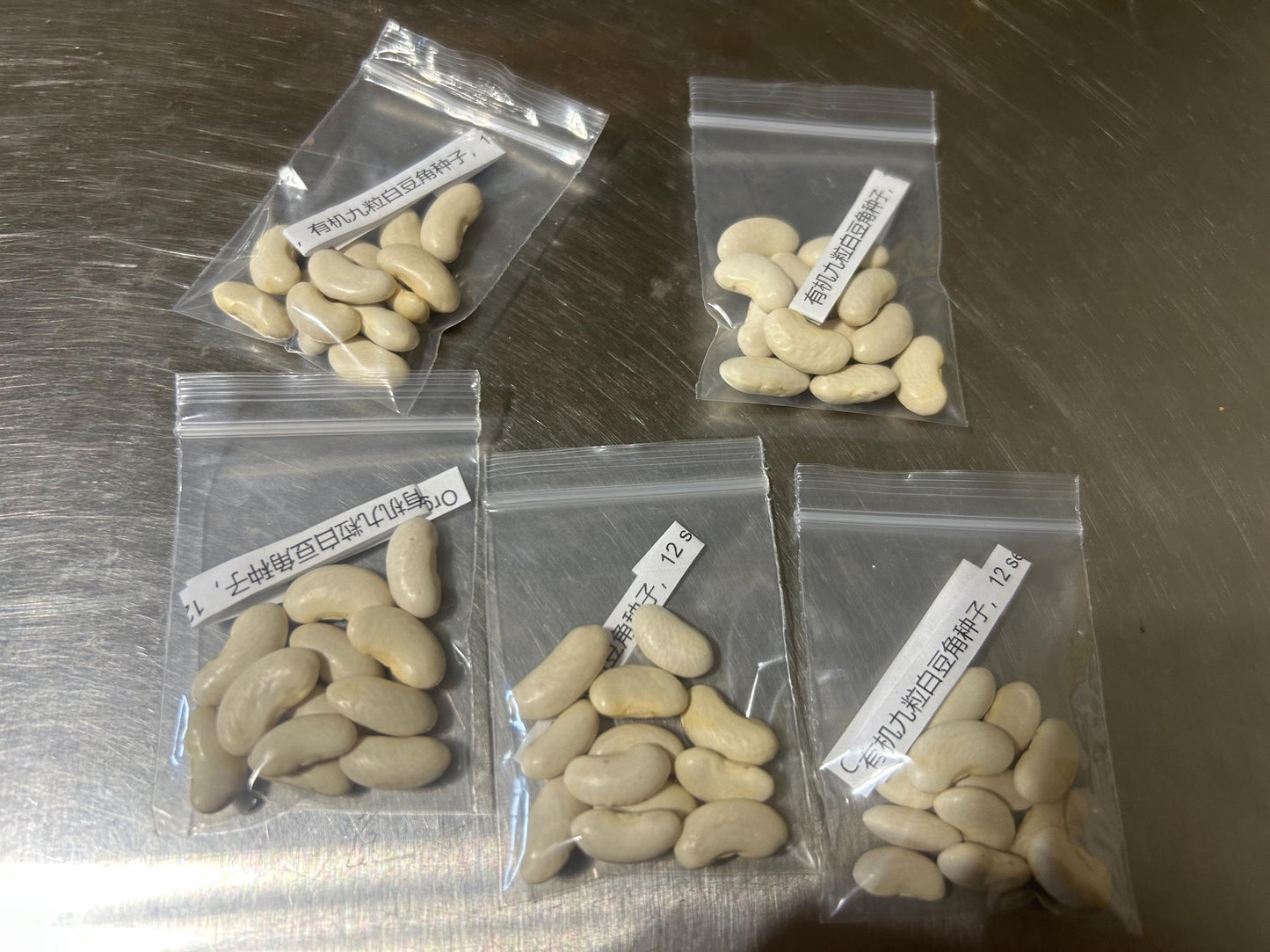 Organic Chinese nine-seed white runner beans,有机九粒白豆角种子,12 seeds