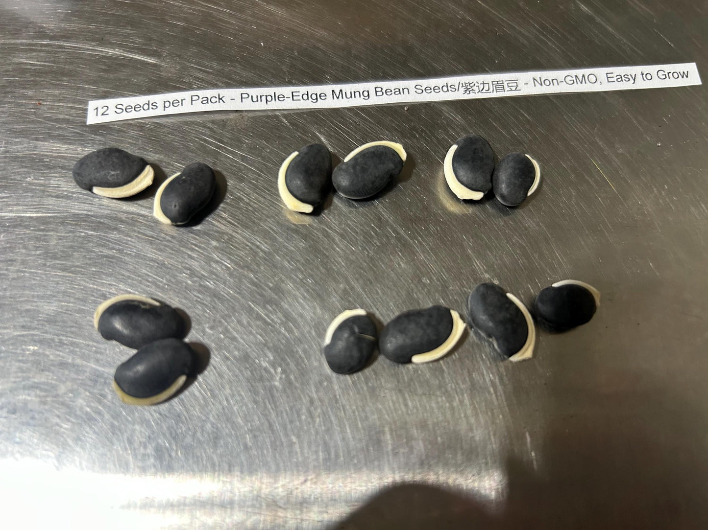 12 Seeds per Pack - Purple-Edge Mung Bean Seeds/紫边眉豆 - Non-GMO, Easy to Grow