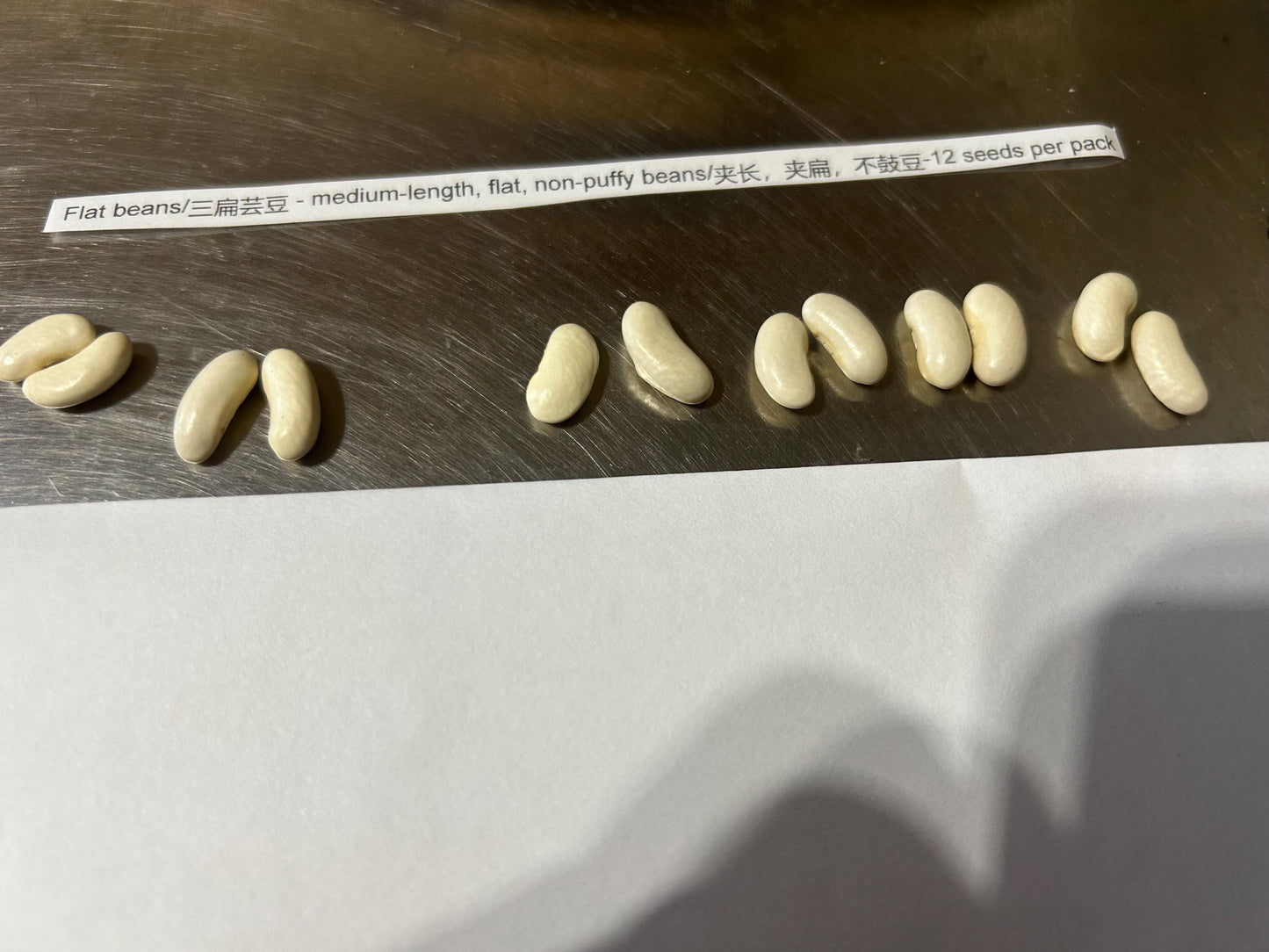 Flat beans/三扁芸豆 - medium-length, flat, non-puffy beans/夹长,夹扁,不鼓豆-12 seeds per pack