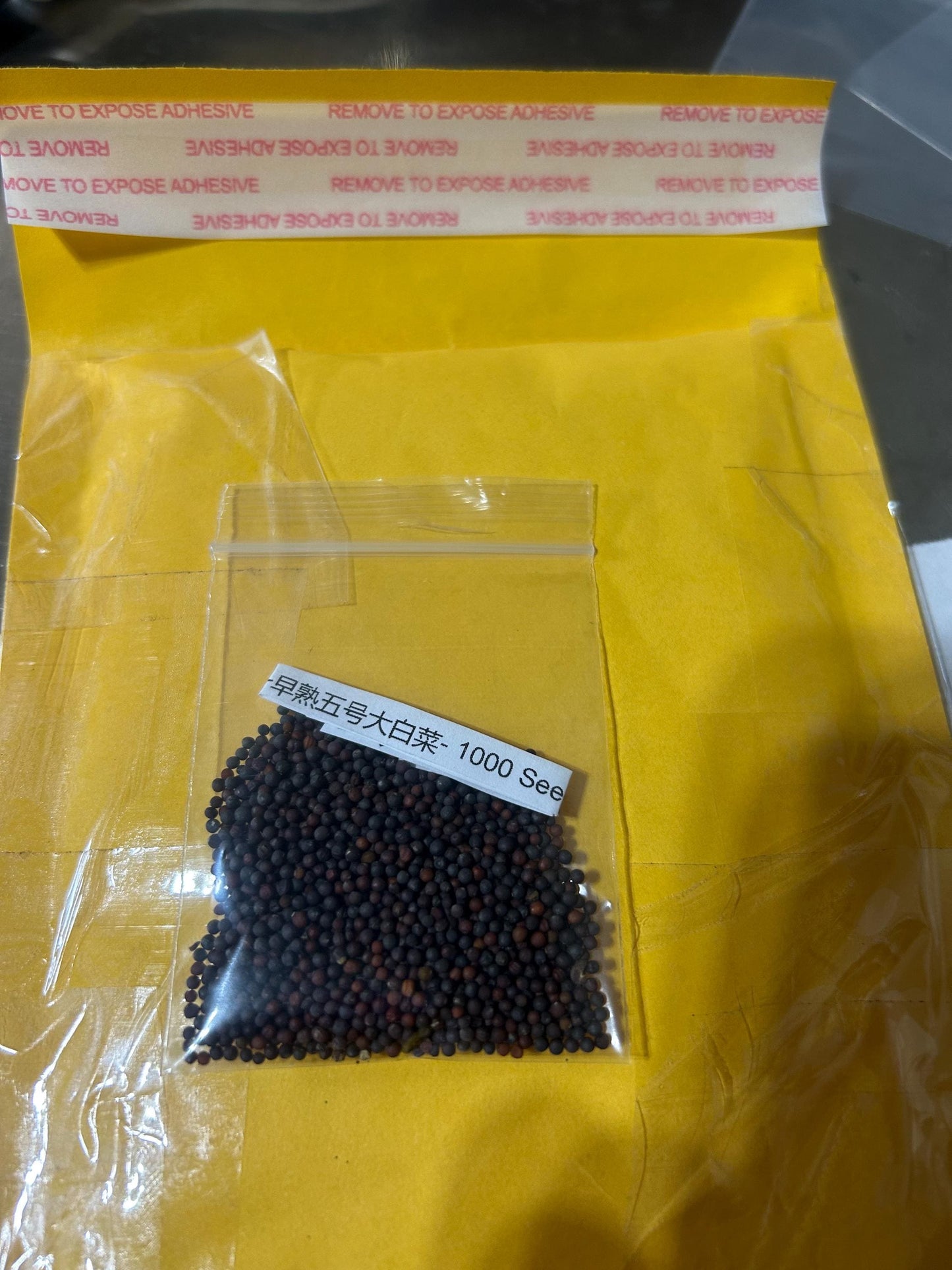 Early Maturing No. 5 Chinese Cabbage Seeds -早熟五号大白菜- 1000 Seeds per Packet