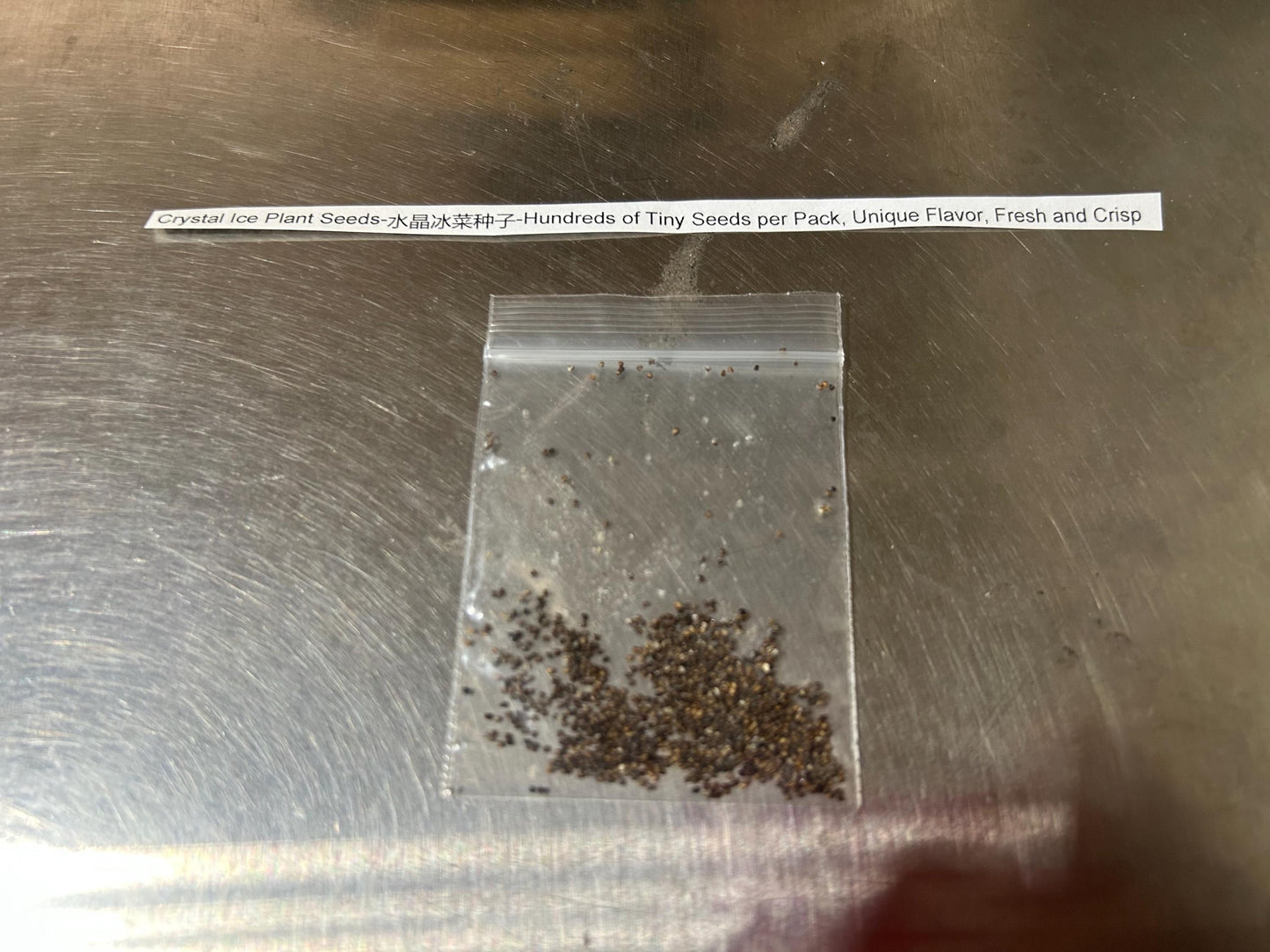 Crystal Ice Plant Seeds-水晶冰菜种子-Hundreds of Tiny Seeds per Pack, Unique Flavor, Fresh and Crisp