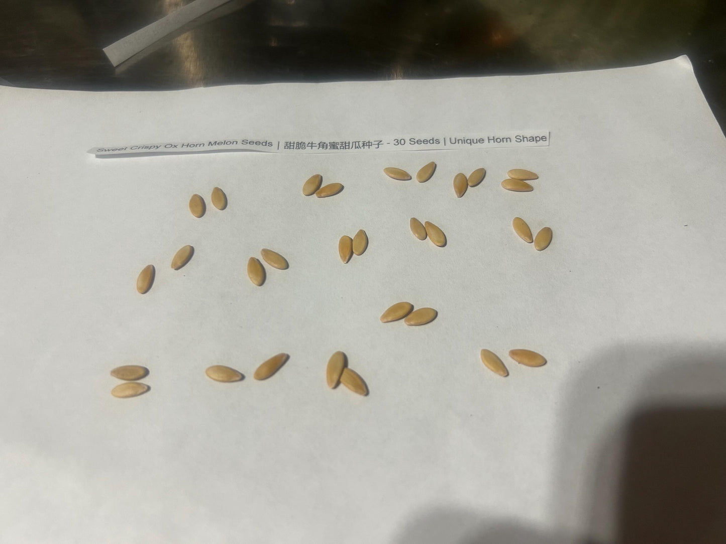 Sweet Crispy Ox Horn Melon Seeds|甜脆牛角蜜甜瓜种子 - 30 Seeds | Unique Horn Shape