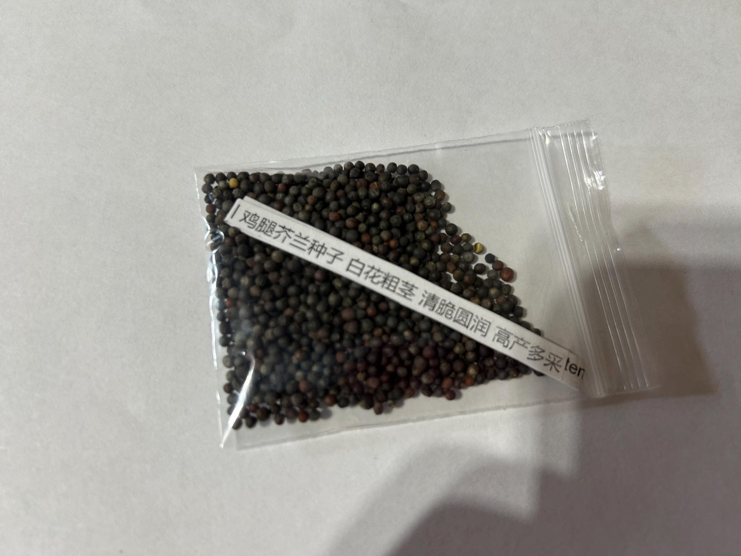 Chinese Kailan Seeds – White-Flowered Stem Broccoli – Crisp Round Stems – 1000+ Seeds | 鸡腿芥兰种子 白花粗茎 清脆圆润 高产多采