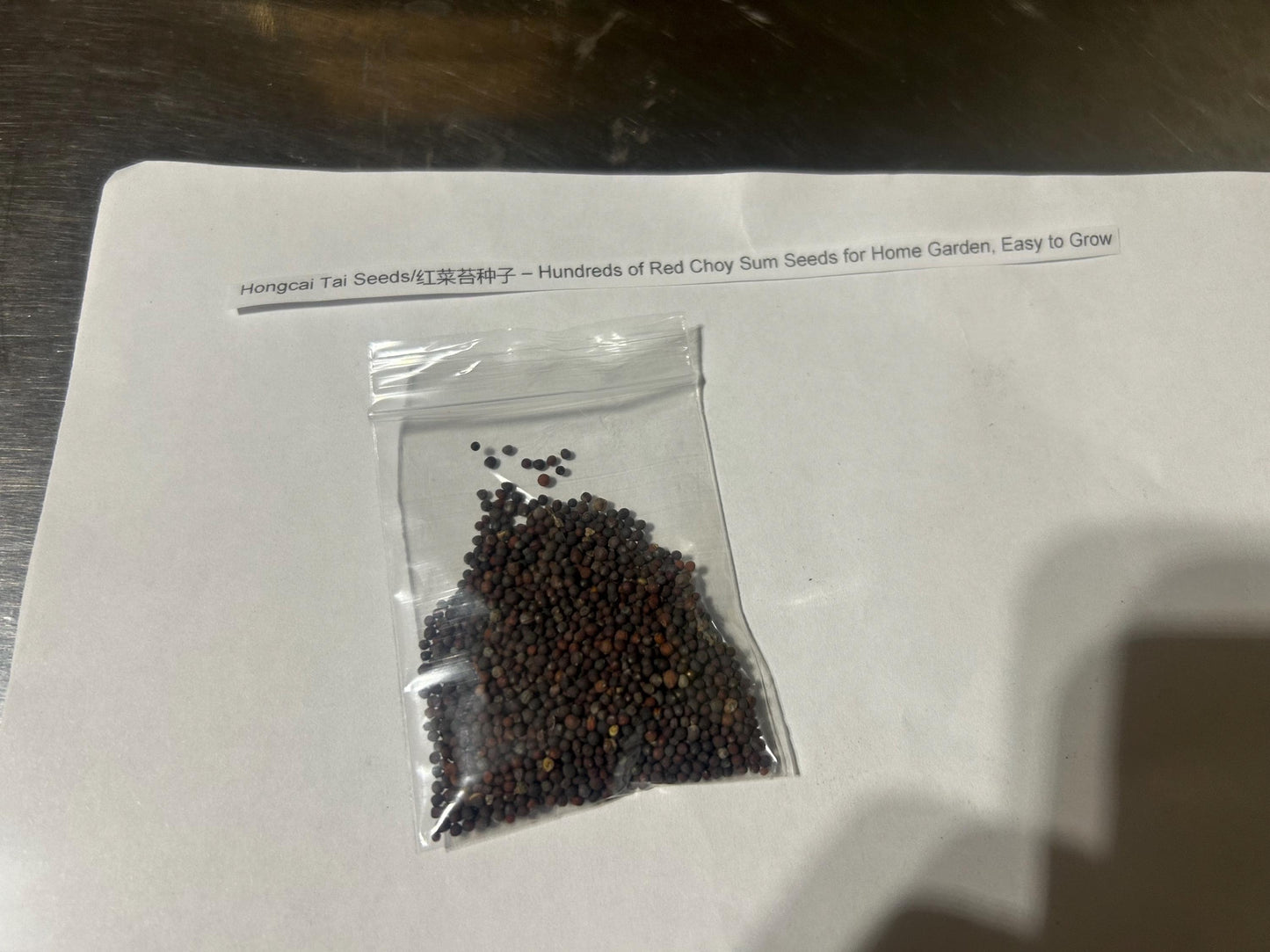 Hongcai Tai Seeds/红菜苔种子 – Hundreds of Red Choy Sum Seeds for Home Garden, Easy to Grow