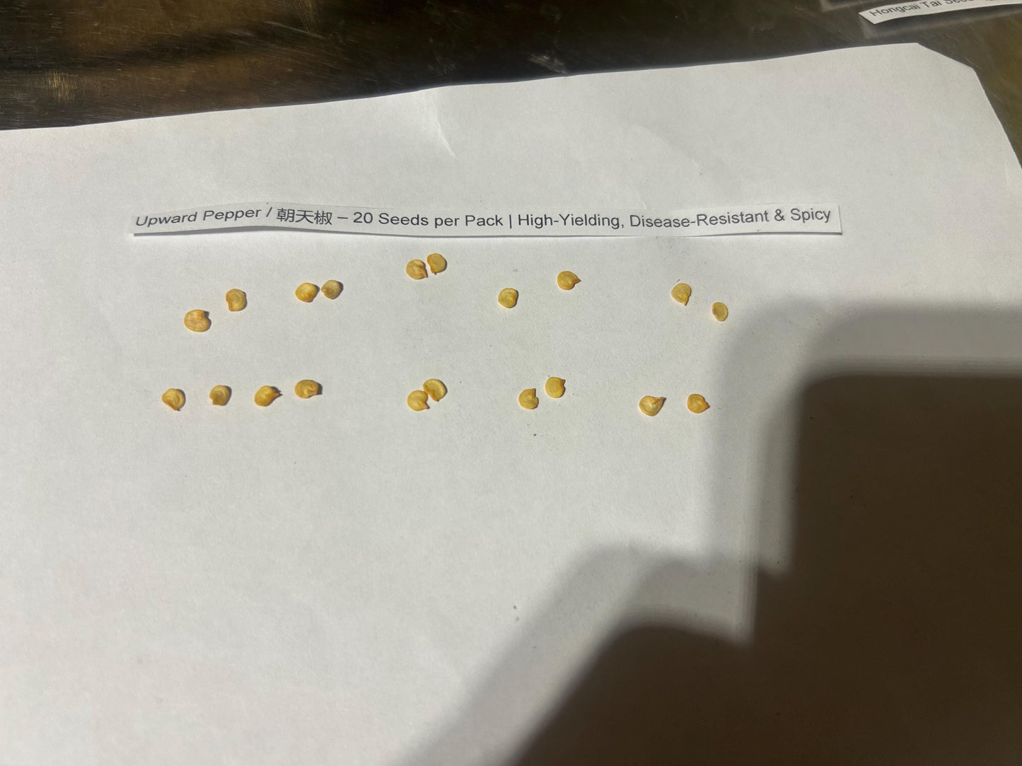 Upward Pepper / 朝天椒 – 20 Seeds per Pack | High-Yielding, Disease-Resistant & Spicy