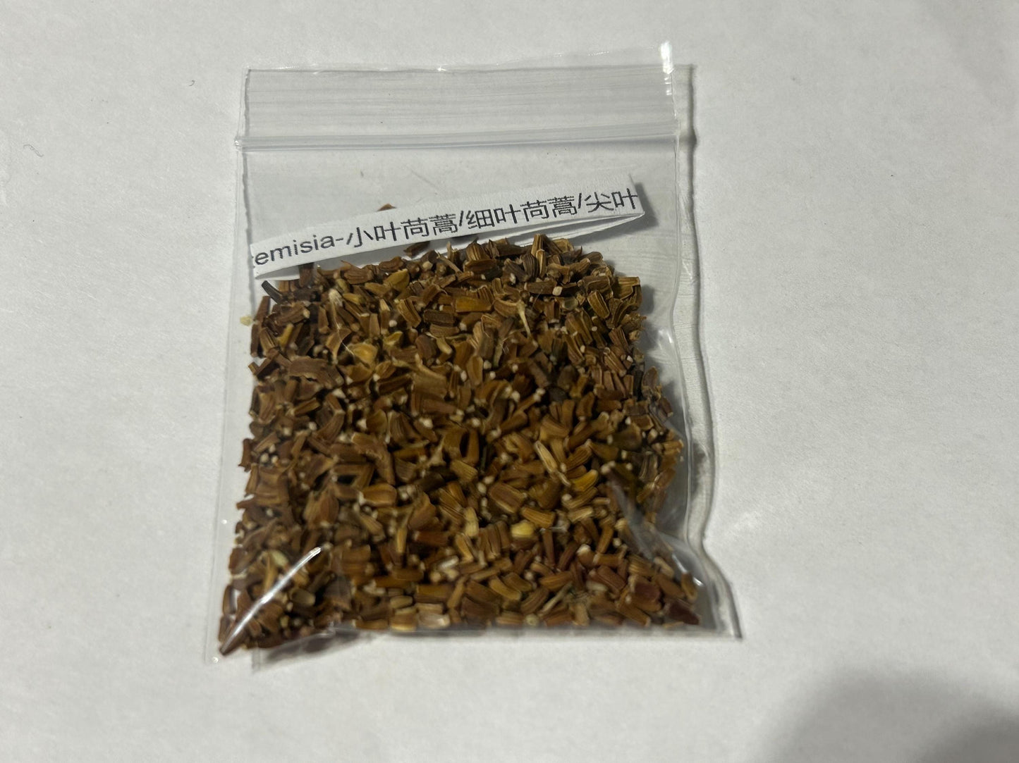 Small-leaved Artemisia/pointed-leaf artemisia /fine-leaf artemisia-小叶苘蒿/细叶苘蒿/尖叶苘蒿-1000 seeds per pack