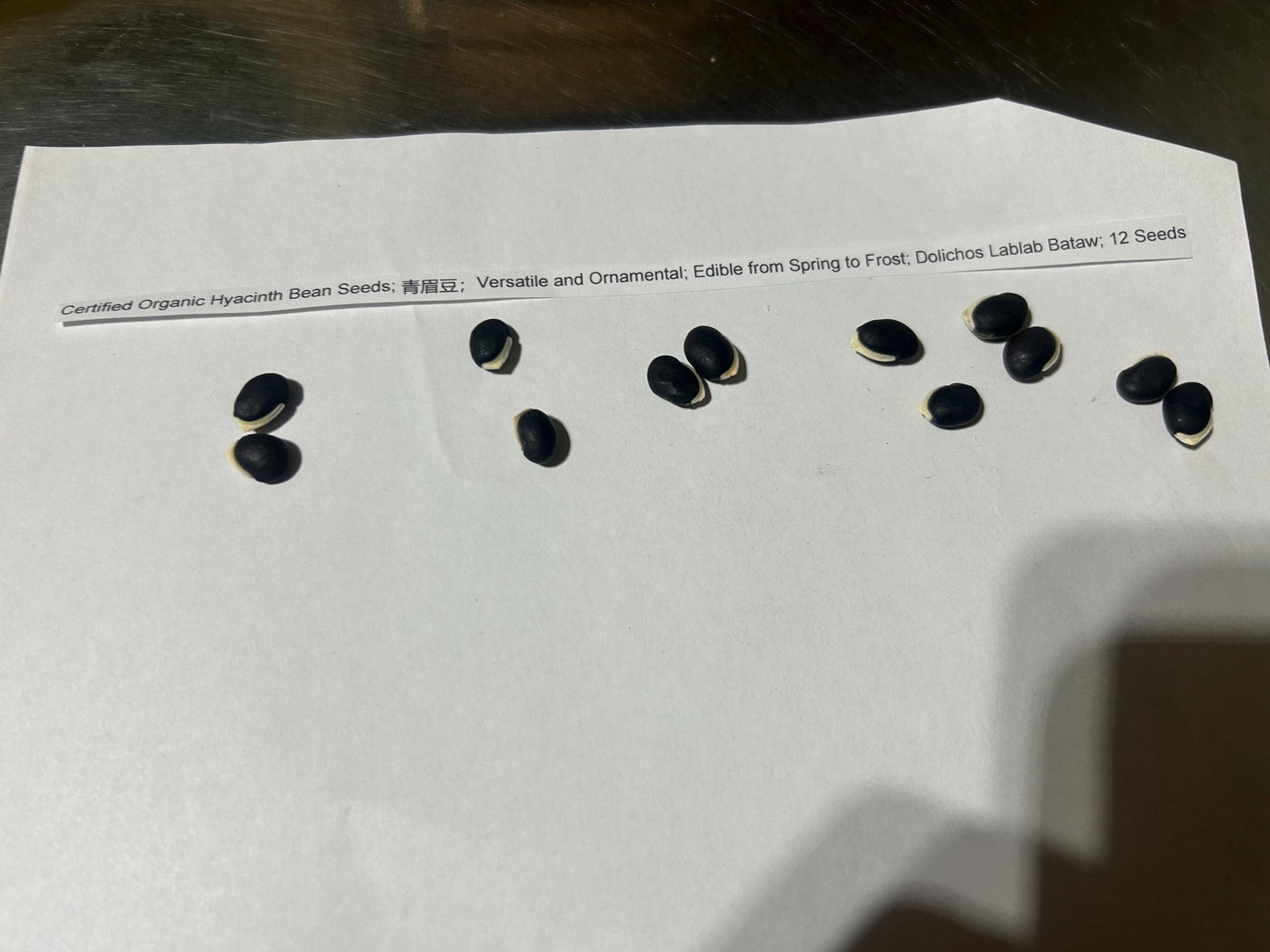 Certified Organic Hyacinth Bean Seeds; 青眉豆;Versatile and Ornamental; Edible from Spring to Frost; Dolichos Lablab Bataw; 12 Seeds