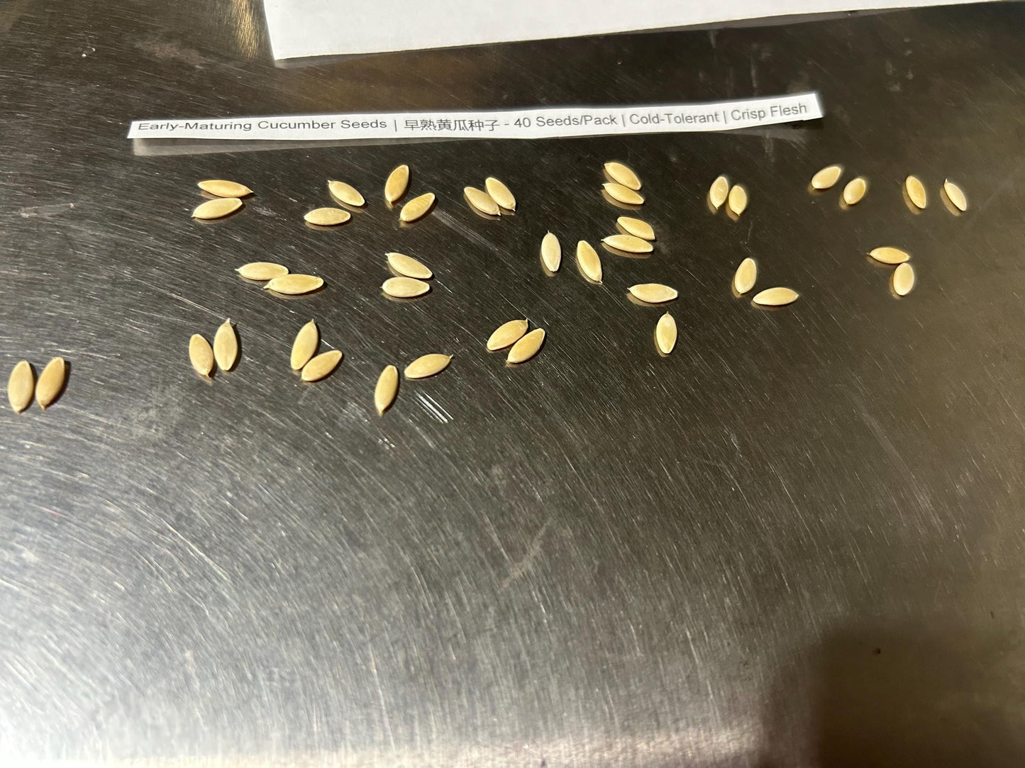 Early-Maturing Cucumber Seeds|早熟黄瓜种子 - 40 Seeds/Pack | Cold-Tolerant | Crisp Flesh