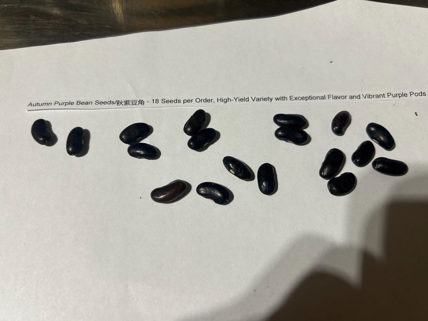 Purple Pod Climbing Bean Seeds – 20–25cm Pods, Vigorous 2.5m Vines, High Yield, Non-GMO – 18 Seeds per Pack | 紫荚攀藤豆种子(每包18粒)