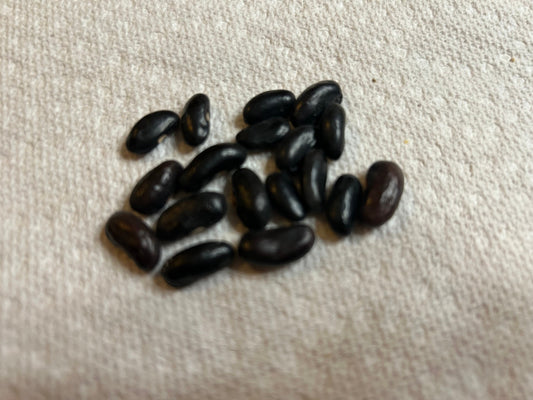 Autumn Purple Bean Seeds - 18 Seeds per Order, High-Yield Variety with Exceptional Flavor and Vibrant Purple Pods