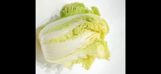 Huangya 14 Cabbage Seeds - 1000 Seeds per Packet