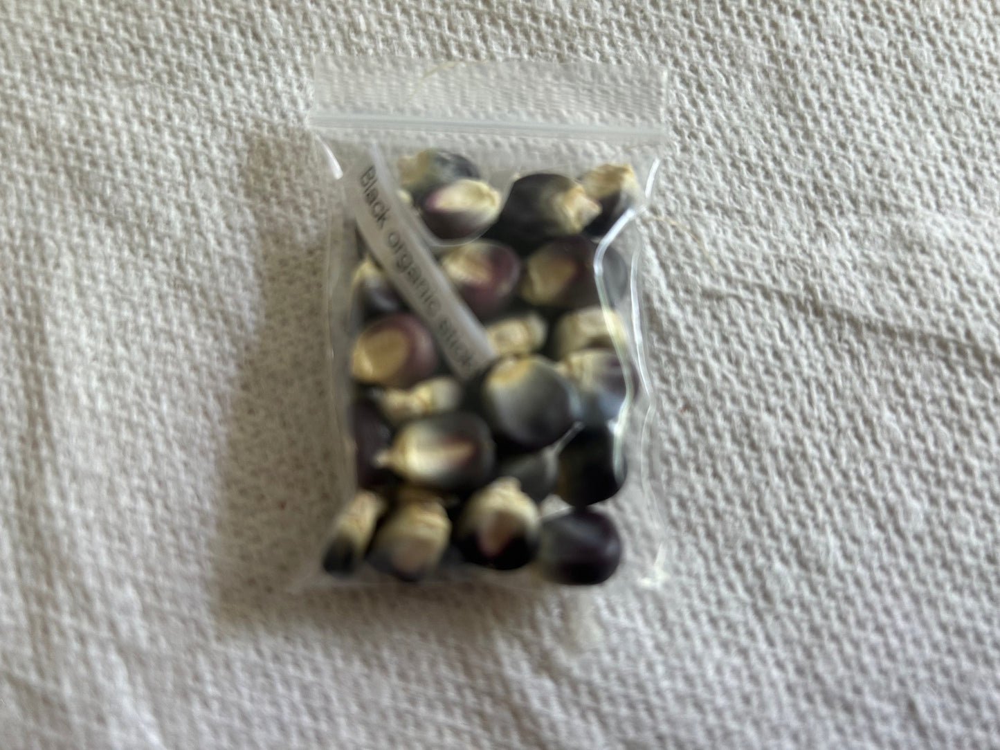 Black organic sticky corn seeds, 黑色有机糯玉米种子，30 seeds