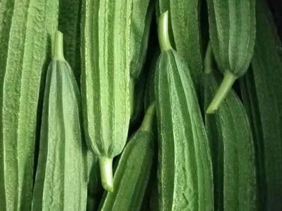 Long Ribbed Luffa Seeds / 长棱丝瓜种子 – 10 Seeds per Pack | Early-Maturing, Low-Node Fruiting, Tender & High-Yielding