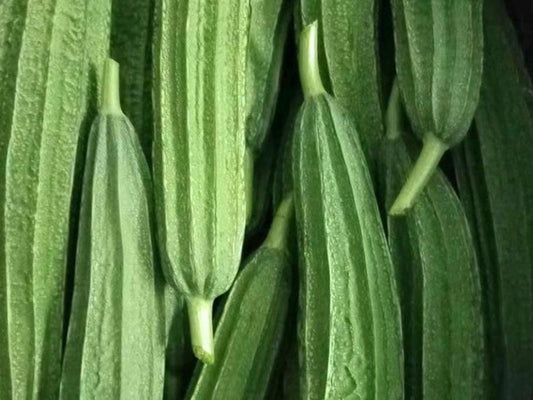 Long Ribbed Luffa Seeds / 长棱丝瓜种子 – 10 Seeds per Pack | Early-Maturing, Low-Node Fruiting, Tender & High-Yielding