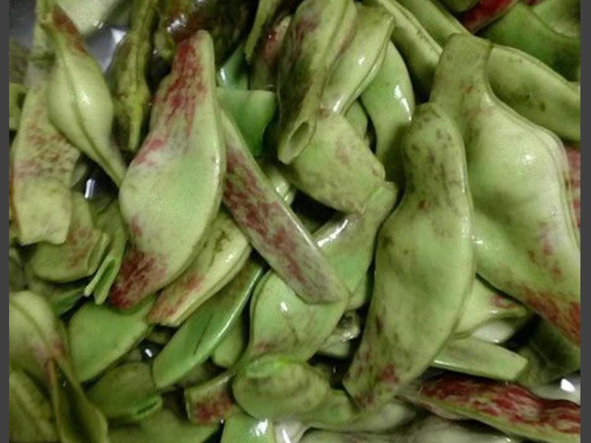Large Red Robe Runner Bean Seeds / 大红袍油豆角种子; Vibrant Red-Streaked Pods, High-Yield Climbing Vine, 12 Seeds
