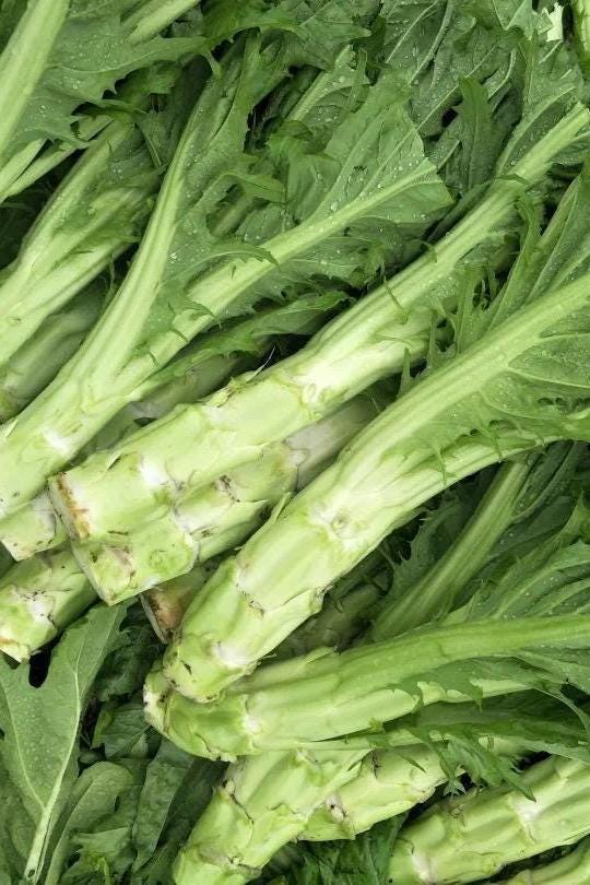 Huaye Bangcai Seeds – Crisp Chinese Leafy Stem Vegetable – Thousands of Seeds – Easy to Grow from Seedlings – Edible Leaves & Stems 花叶棒菜种子
