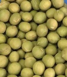 Edamame No. 3 Soybean Seeds – Non-GMO, Compact & High Yield Variety | 12 Seeds | 毛豆3号