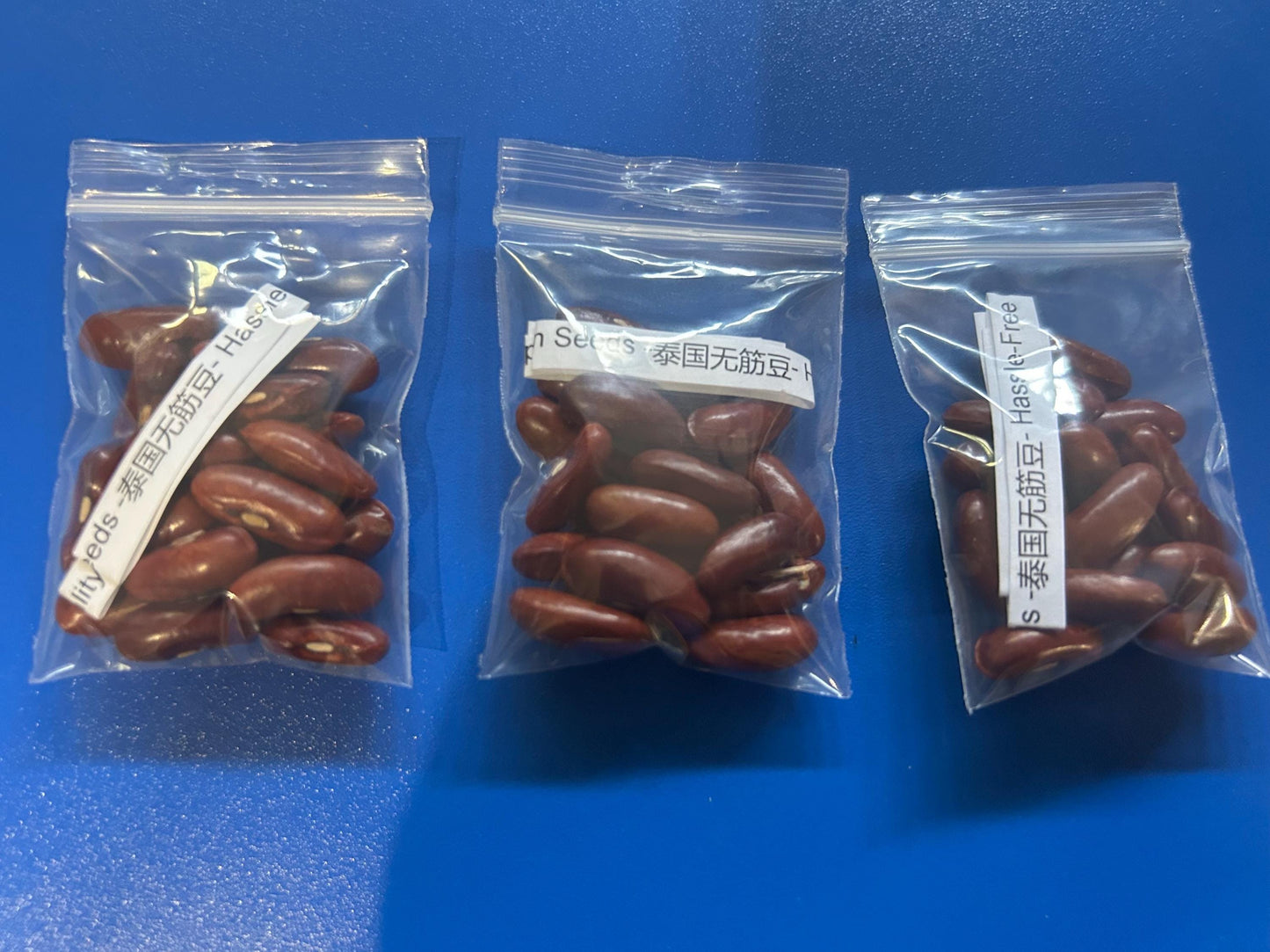 Thai Stringless Bean Seeds -泰国无筋豆- Hassle-Free Growing, Superior Quality, 20 Seeds per Pack