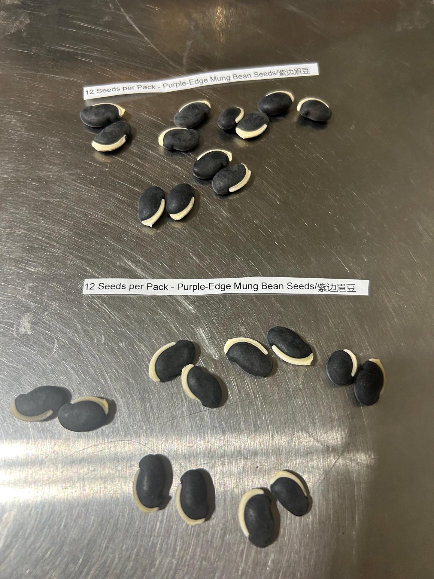 12 Seeds per Pack - Purple-Edge Mung Bean Seeds/紫边眉豆 - Non-GMO, Easy to Grow