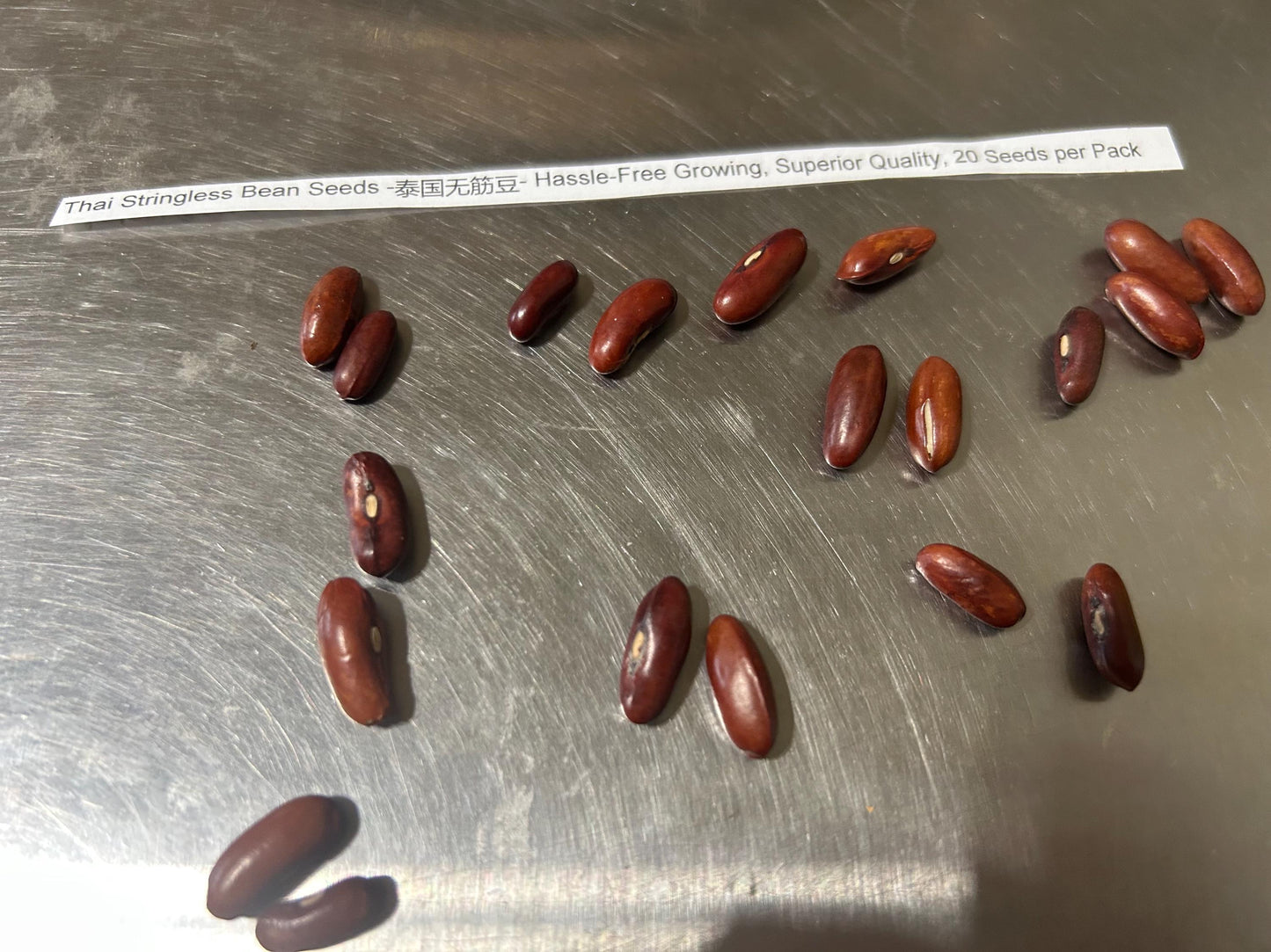 Thai Stringless Bean Seeds -泰国无筋豆- Hassle-Free Growing, Superior Quality, 20 Seeds per Pack