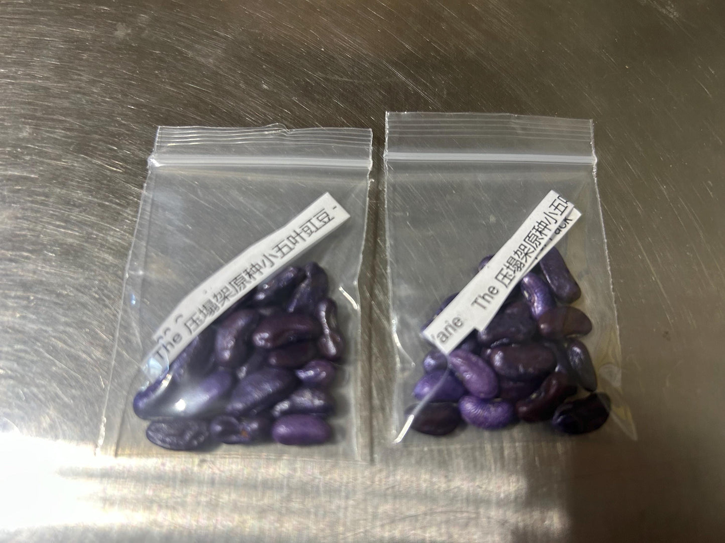 The 压塌架原种小五叶豇豆 - High-Yield Original Variety, 20 Seeds per Pack