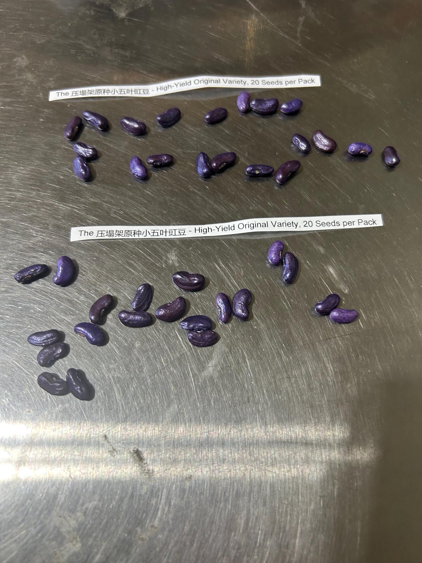 The 压塌架原种小五叶豇豆 - High-Yield Original Variety, 20 Seeds per Pack
