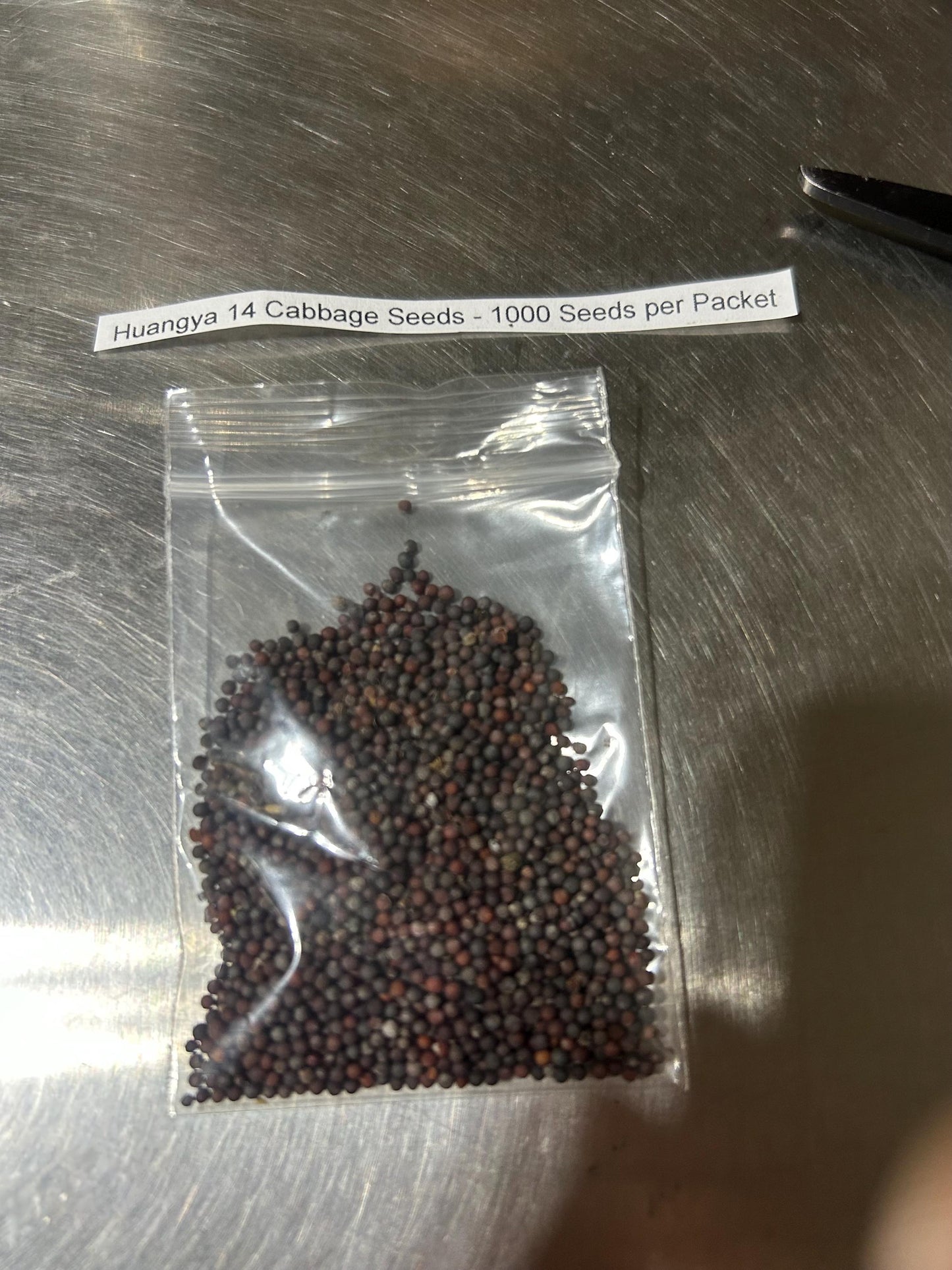 Huangya 14 Cabbage Seeds - 1000 Seeds per Packet
