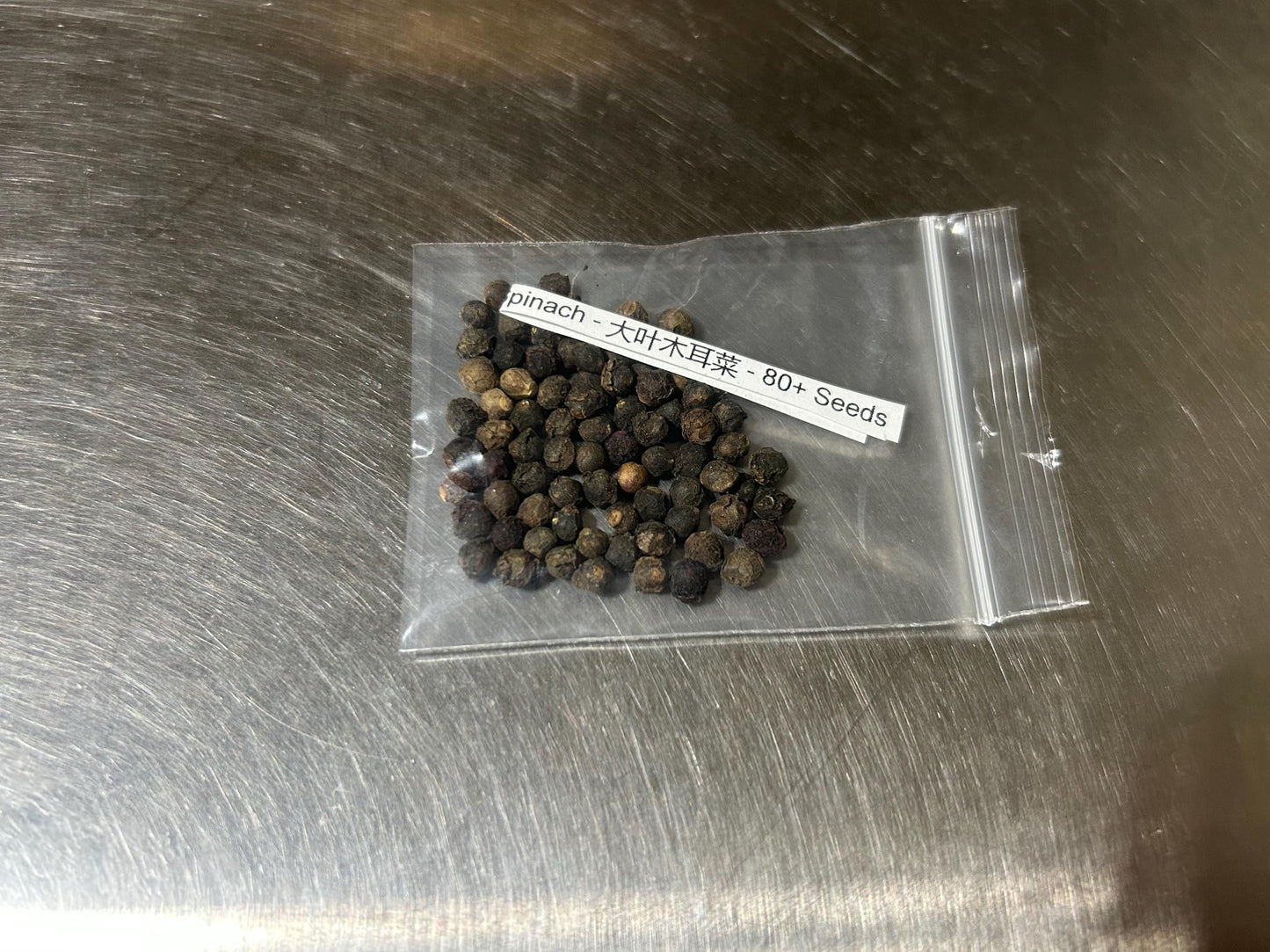 Large Leaf Chinese Malabar Spinach - 大叶木耳菜 - 80+ Seeds