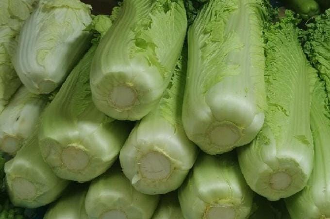 Tianjin Qingma Leaf Chinese Cabbage Seeds 天津青麻叶 Heirloom Asian Vegetable Straight-Headed Variety for Hotpot Stir-Fry Soup