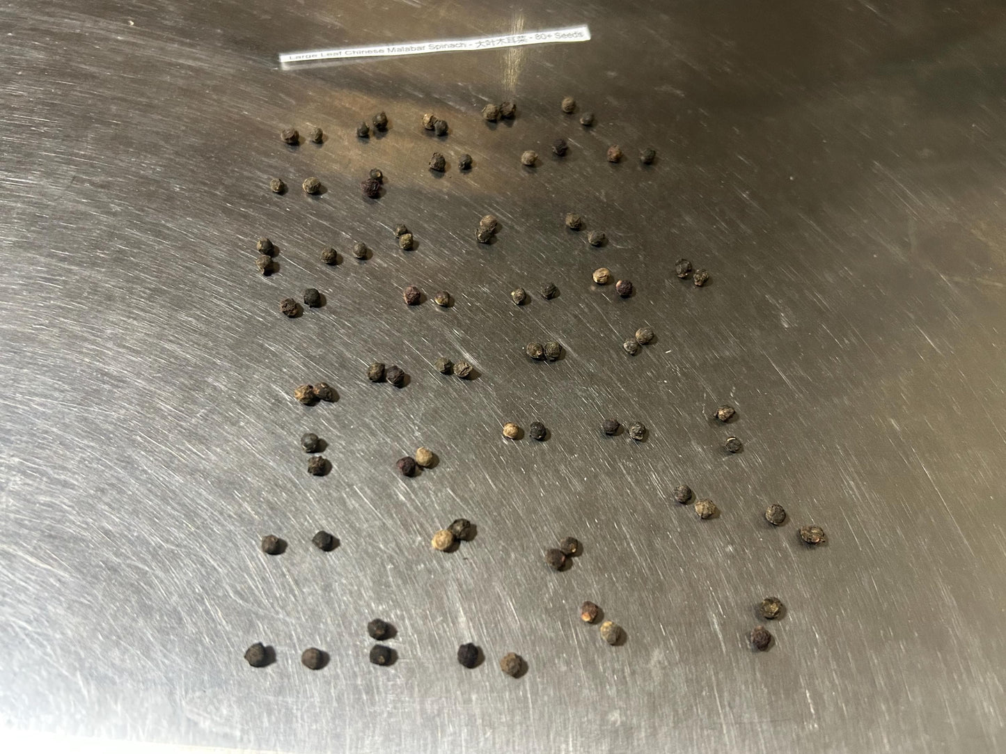 Large Leaf Chinese Malabar Spinach - 大叶木耳菜 - 80+ Seeds