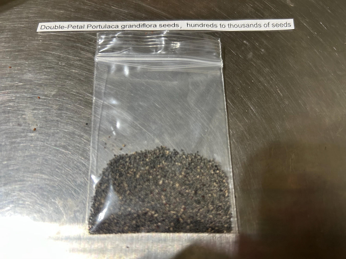 Double-Petal  Portulaca grandiflora seeds，hundreds to thousands of seeds