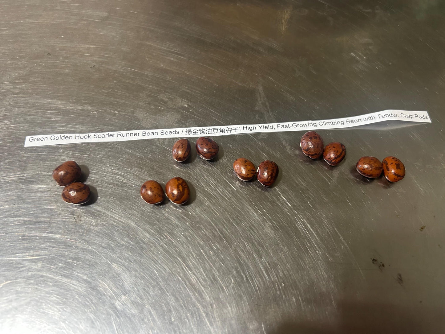 Green Golden Hook Scarlet Runner Bean Seeds / 绿金钩油豆角种子; High-Yield, Fast-Growing Climbing Bean with Tender, Crisp Pods, 12 Seeds