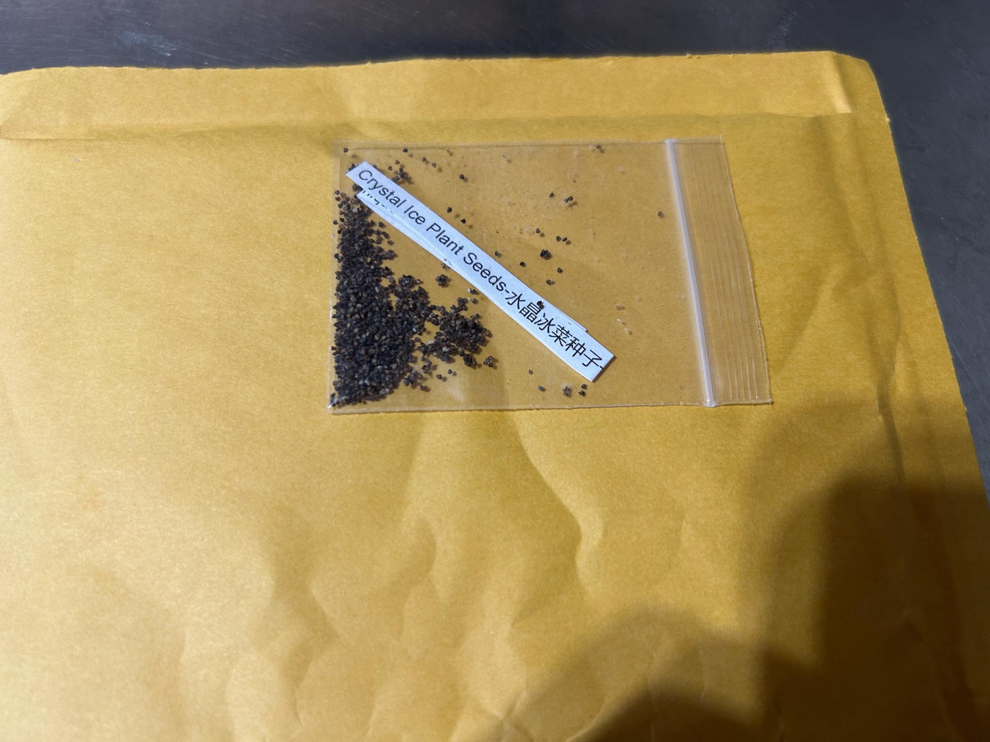 Crystal Ice Plant Seeds-水晶冰菜种子-Hundreds of Tiny Seeds per Pack, Unique Flavor, Fresh and Crisp