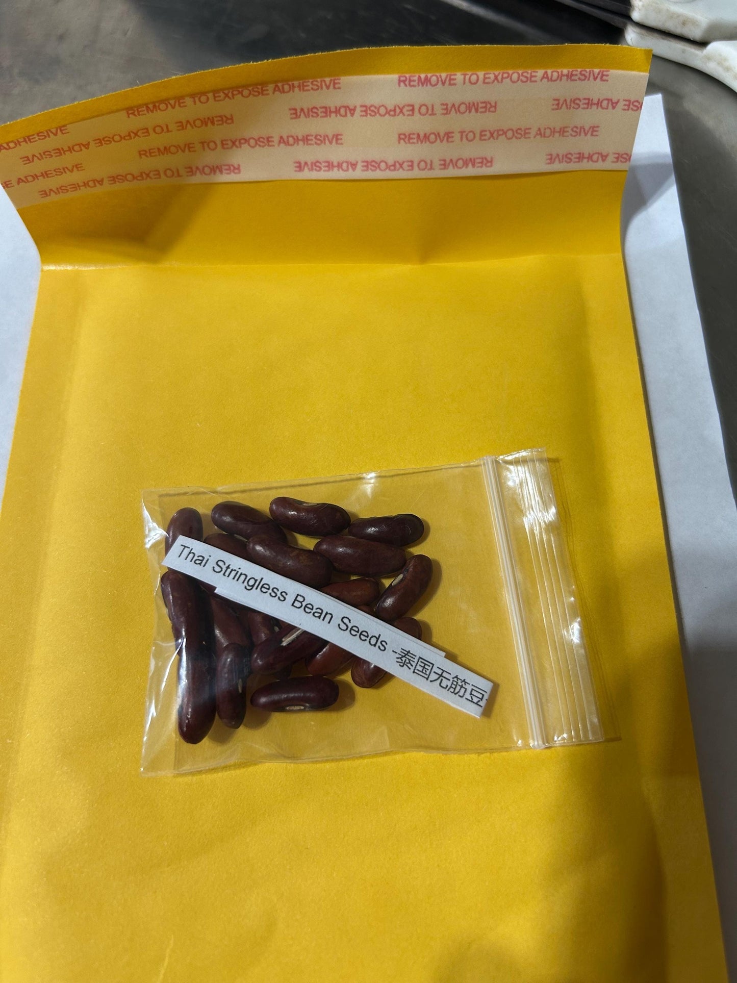 Thai Stringless Bean Seeds -泰国无筋豆- Hassle-Free Growing, Superior Quality, 20 Seeds per Pack