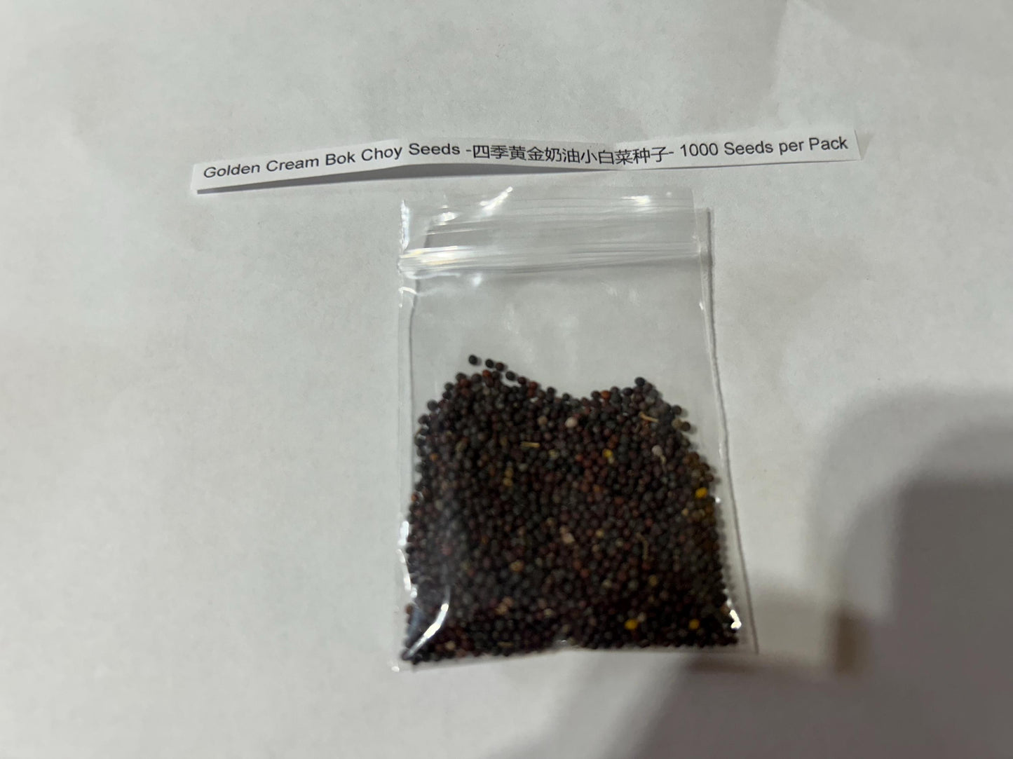 Golden Cream Bok Choy Seeds -四季黄金奶油小白菜种子- 1000 Seeds per Pack