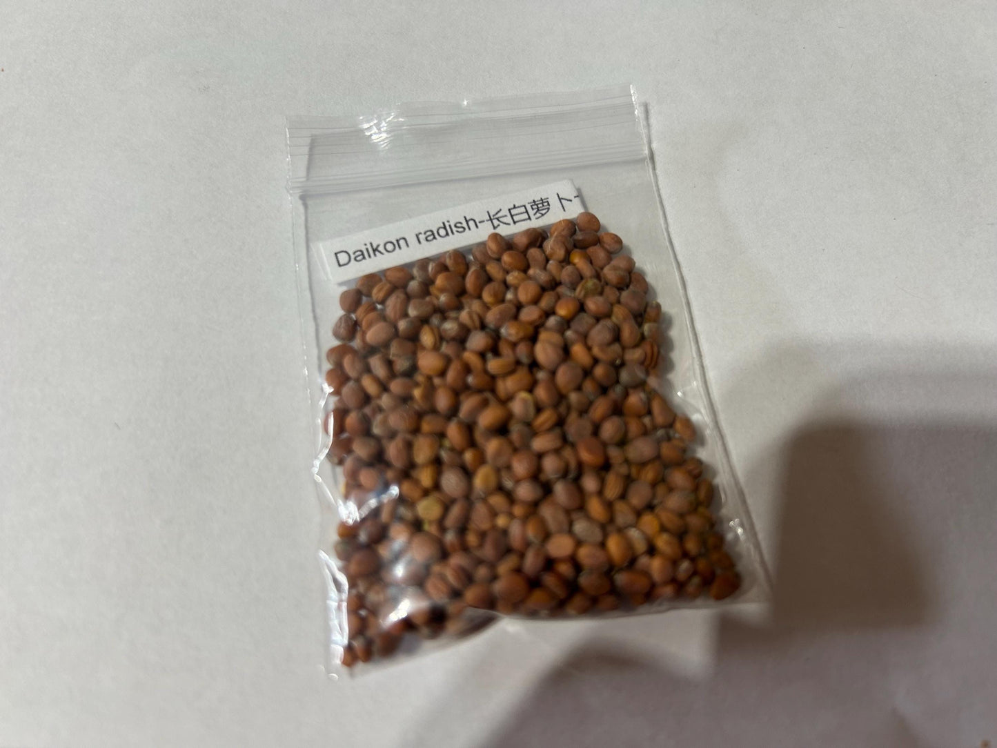 Traditional Asian Daikon Radish Seeds (100 Seeds) | Crisp, Mild Flavor | 长白萝卜