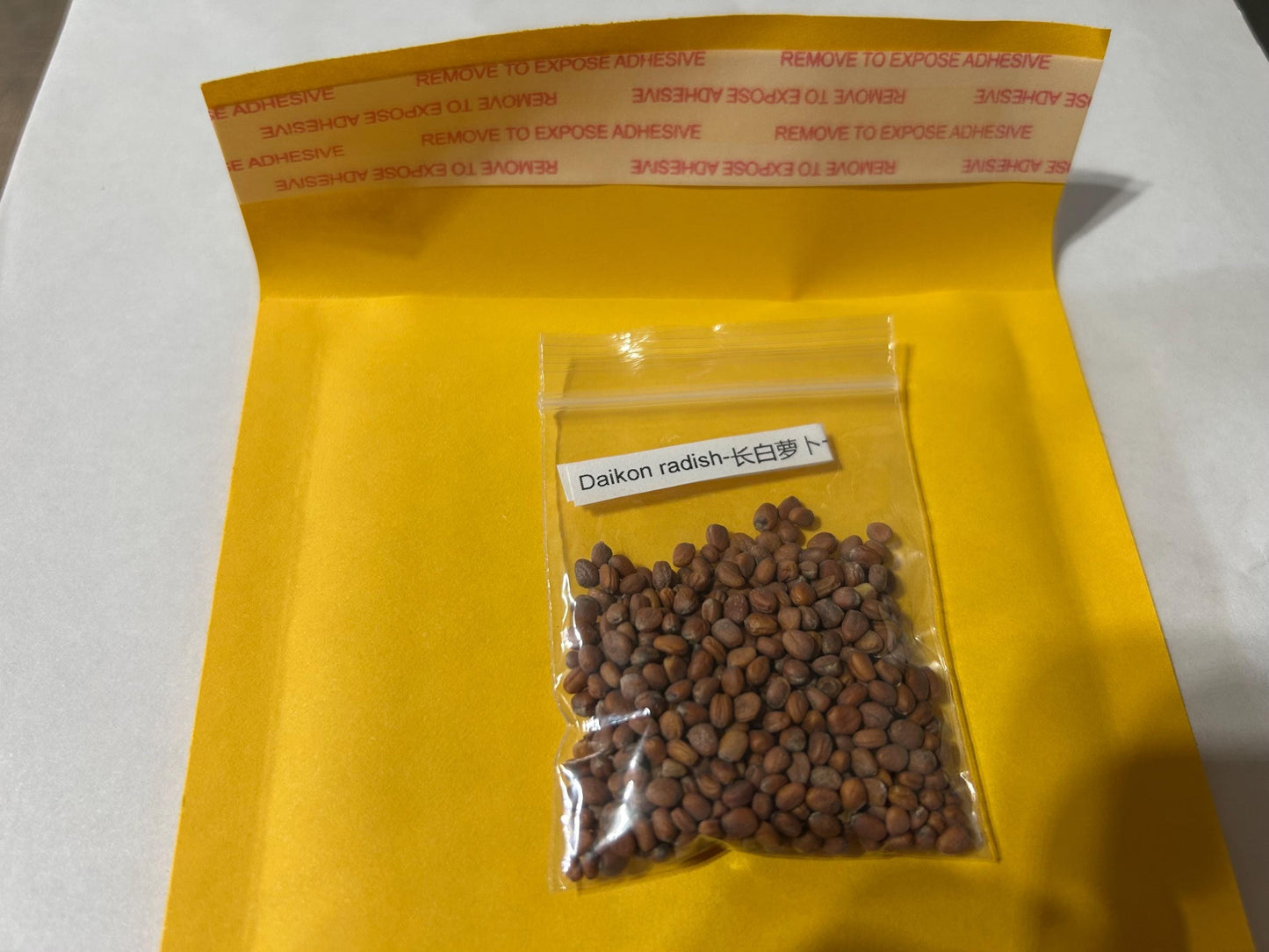 Traditional Asian Daikon Radish Seeds (100 Seeds) | Crisp, Mild Flavor | 长白萝卜