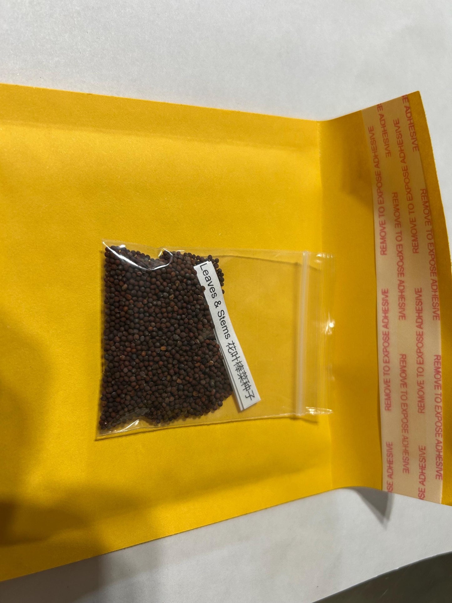 Huaye Bangcai Seeds – Crisp Chinese Leafy Stem Vegetable – Thousands of Seeds – Easy to Grow from Seedlings – Edible Leaves & Stems 花叶棒菜种子