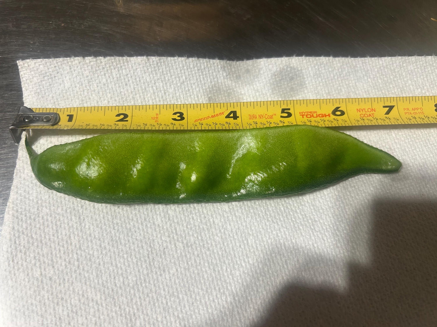 Certified Organic Green Hyacinth Bean Seeds / 青扁豆种子; High-Yield, Climbing Vine with Tender Green Pods and Beautiful Flowers, 12 Seeds