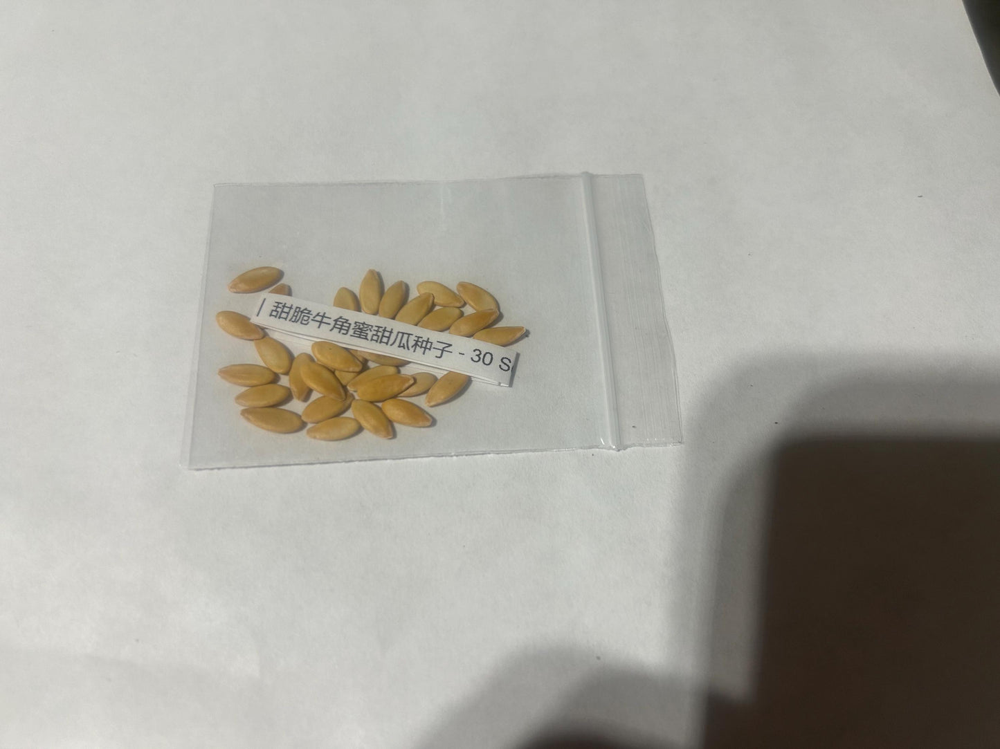 Sweet Crispy Ox Horn Melon Seeds｜甜脆牛角蜜甜瓜种子 - 30 Seeds | Unique Horn Shape