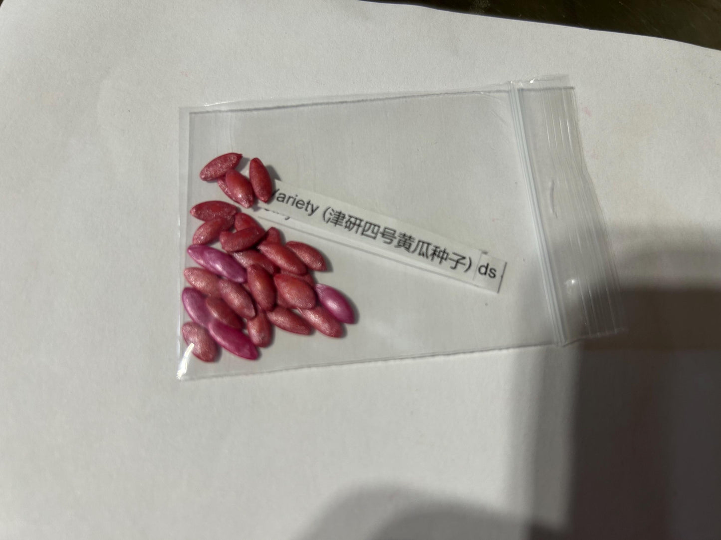 Jinyan Four Cucumber Seeds – 30 Coated Seeds – Early Main Vine Variety (津研四号黄瓜种子)