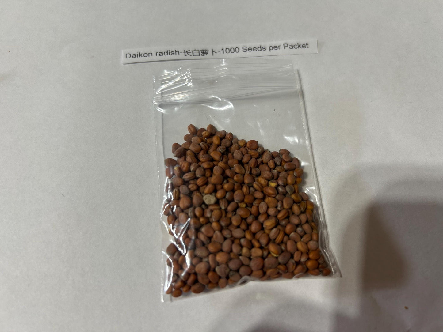 Traditional Asian Daikon Radish Seeds (100 Seeds) | Crisp, Mild Flavor | 长白萝卜