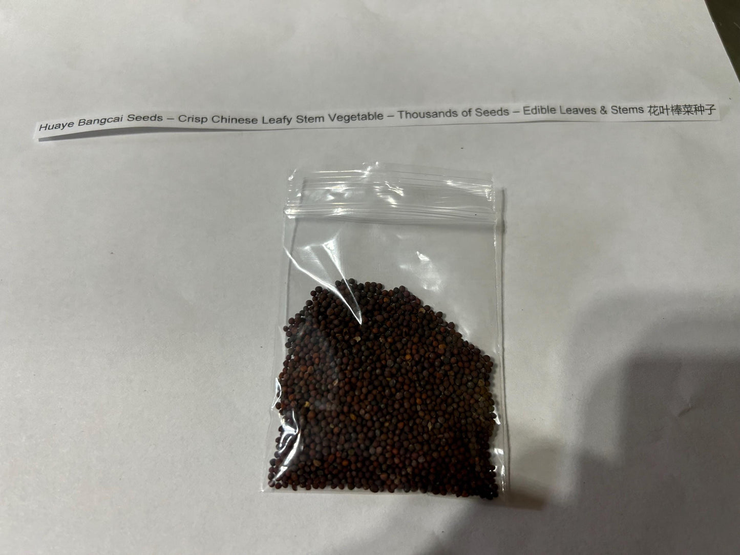 Huaye Bangcai Seeds – Crisp Chinese Leafy Stem Vegetable – Thousands of Seeds – Easy to Grow from Seedlings – Edible Leaves & Stems 花叶棒菜种子