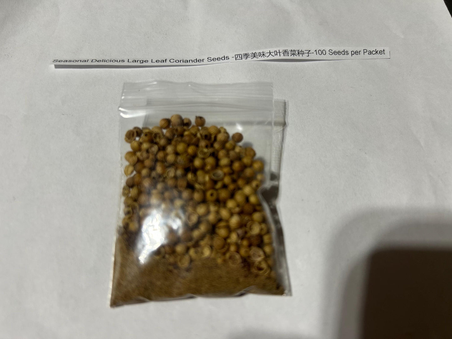 Seasonal Delicious Large Leaf Coriander Seeds -四季美味大叶香菜种子-100 Seeds per Packet