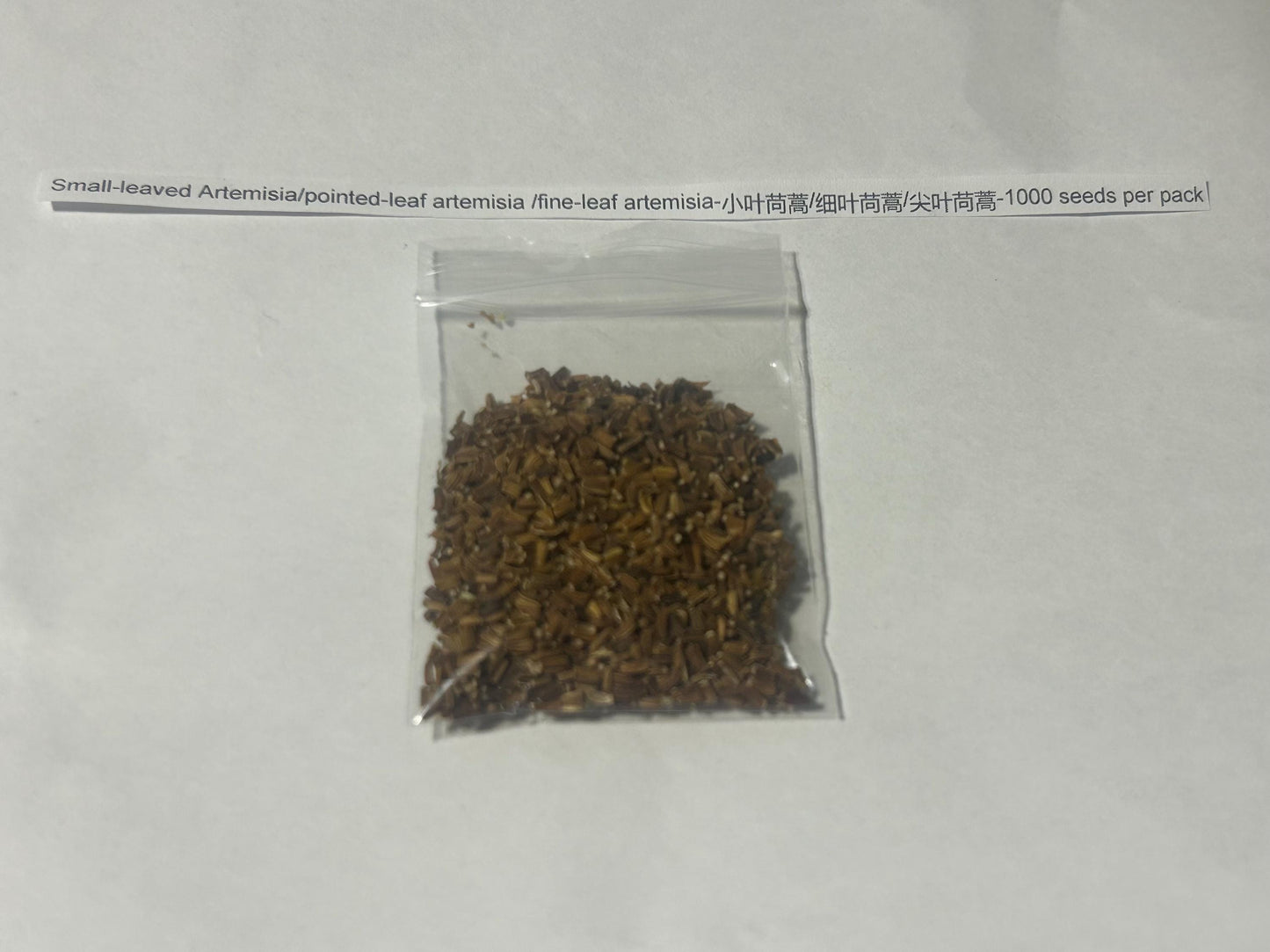 Small-leaved Artemisia/pointed-leaf artemisia /fine-leaf artemisia-小叶苘蒿/细叶苘蒿/尖叶苘蒿-1000 seeds per pack